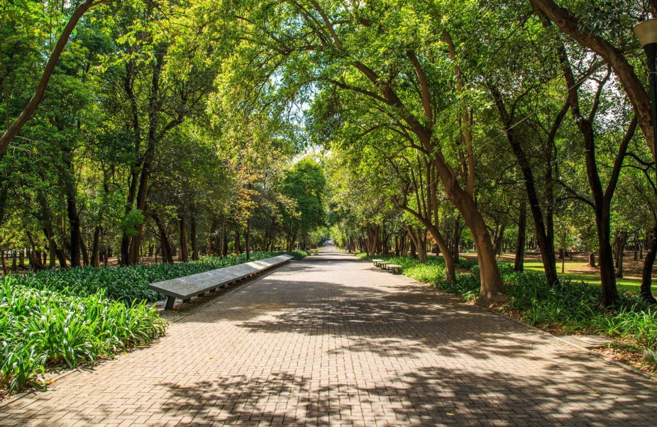 Bosque de San Juan de Aragón, Mexico